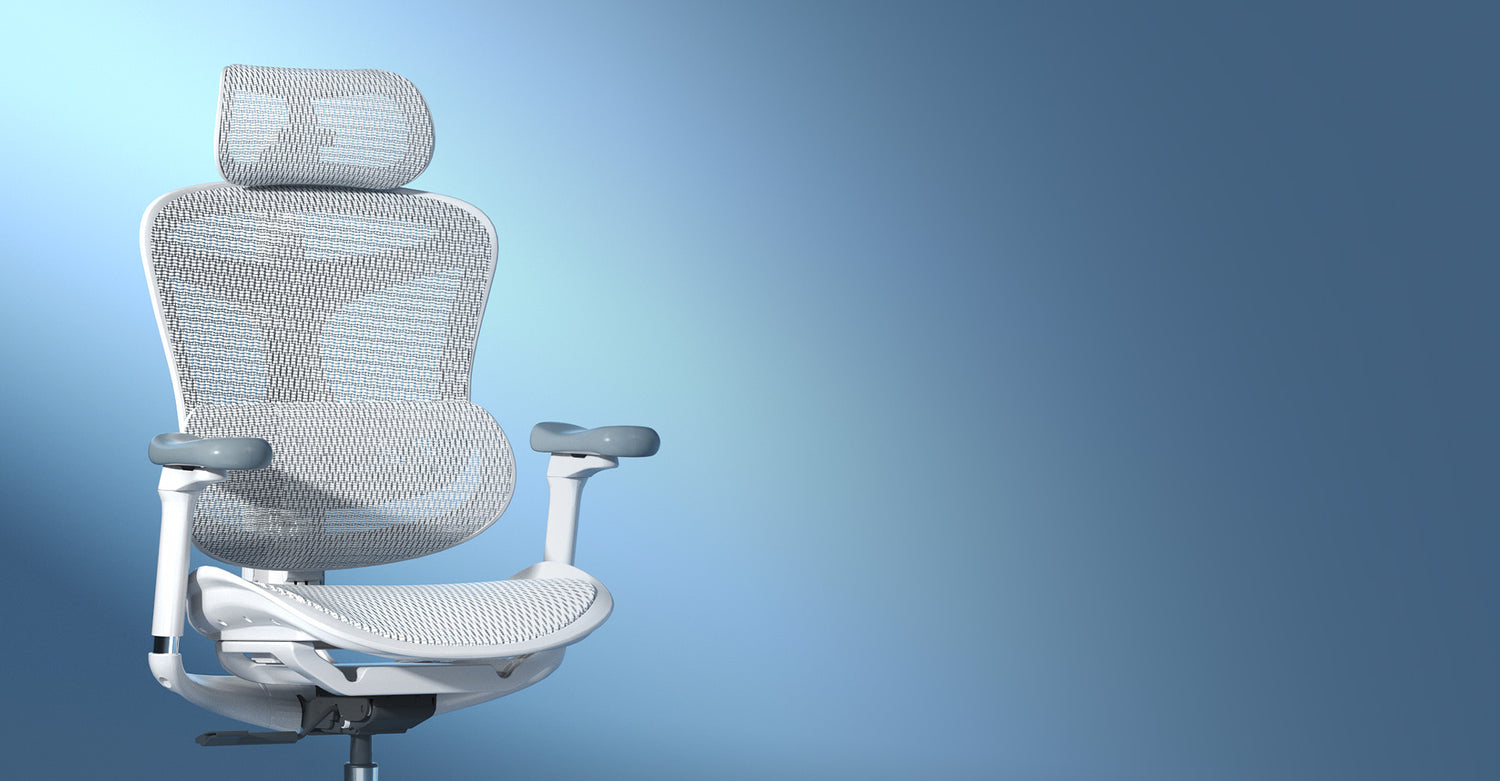 DE Sihoo Offizieller Shop