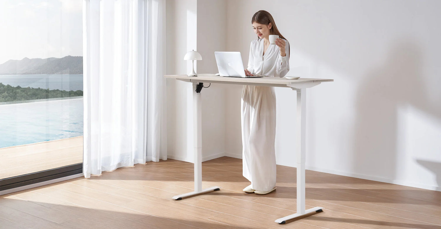 DE Sihoo Offizieller Shop