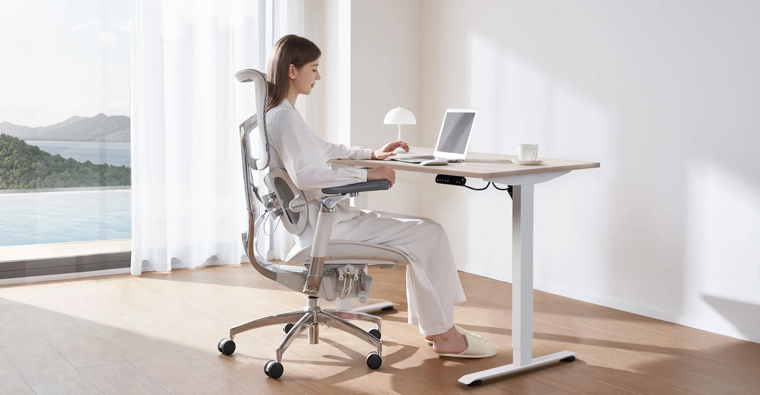 DE Sihoo Offizieller Shop