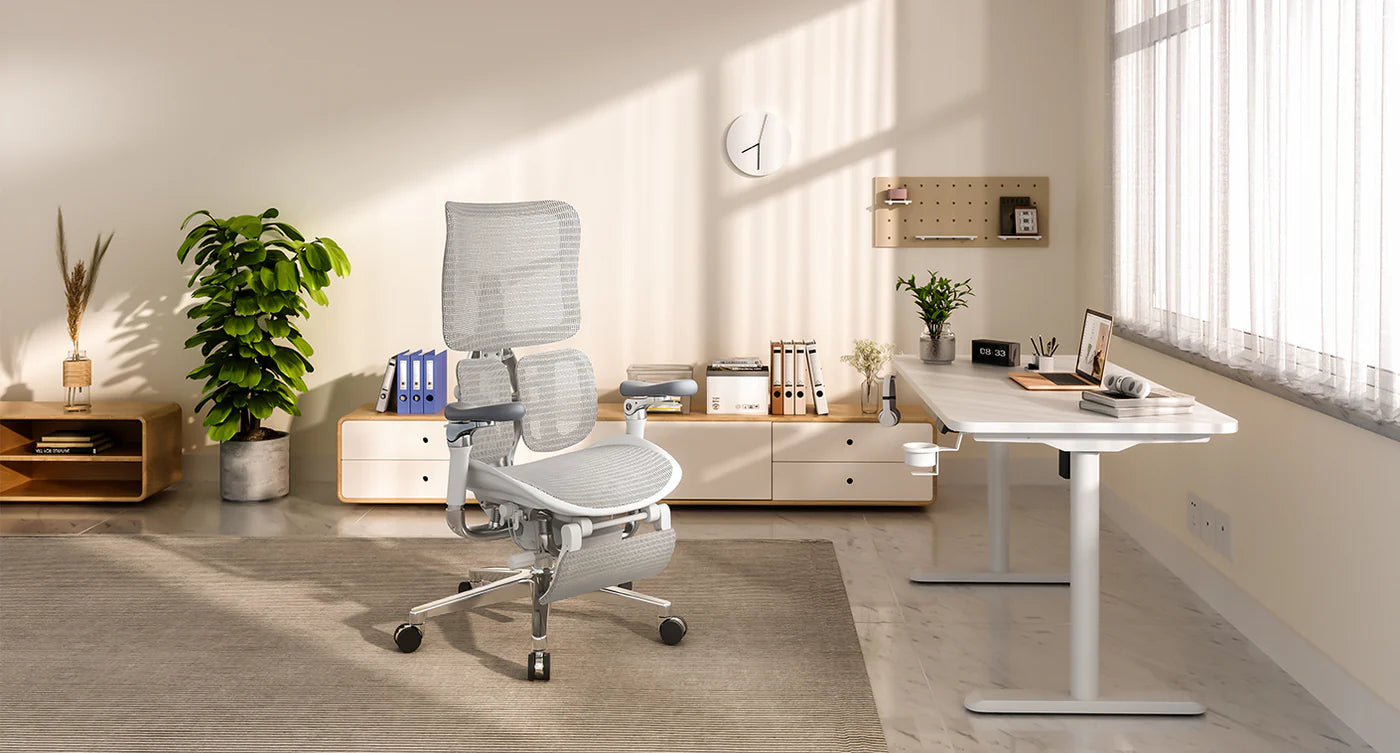 DE Sihoo Offizieller Shop