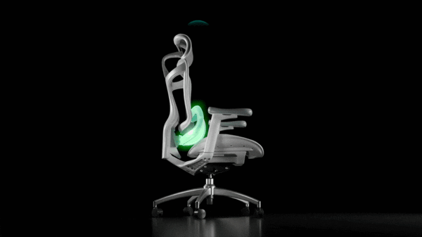 BM Dynamic Back System