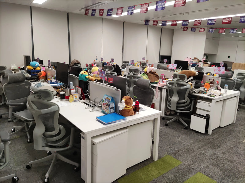 Sihoo Bürostuhl – Kundenfallstudie